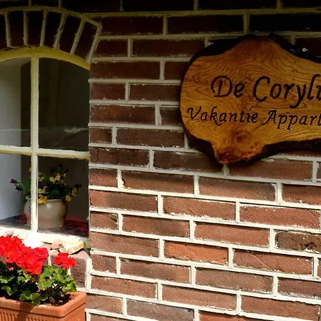 De Corylus Vakantie Appartement Oosterhesselen Exterior photo